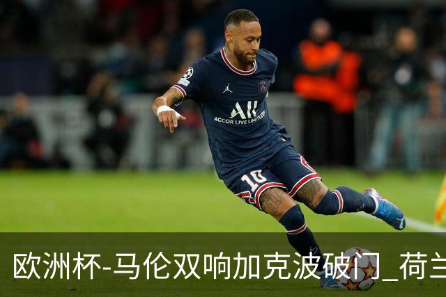 欧洲杯-马伦双响加克波破门 荷兰3-0罗马尼亚